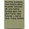 Muchos Cuerpos, Una Misma Alma: El Poder Sanador De Una Nueva Terapia Que Nos Abre Hacia Vida Futuras = Same Soul, Many Bodies door Brian Leslie Weiss