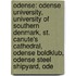 Odense: Odense University, University Of Southern Denmark, St. Canute's Cathedral, Odense Boldklub, Odense Steel Shipyard, Ode