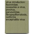 Virus Introduction: Flaviviridae, Coxsackie A Virus, Provirus, Parvoviridae, Fibropapillomatosis, California Encephalitis Virus