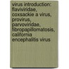 Virus Introduction: Flaviviridae, Coxsackie A Virus, Provirus, Parvoviridae, Fibropapillomatosis, California Encephalitis Virus door Source Wikipedia