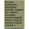 Arizona, Prehistoric, Aboriginal, Pioneer, Modern: the Nation's Youngest Commonwealth Within a Land of Ancient Culture, Volume 1 door James H. McClintock