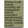 Articles On Pet Insects, Including: Ant, Madagascar Hissing Cockroach, Sphodromantis, Cricket (Insect), Mantis, Crickets As Pets door Hephaestus Books