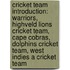 Cricket Team Introduction: Warriors, Highveld Lions Cricket Team, Cape Cobras, Dolphins Cricket Team, West Indies A Cricket Team