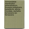 Mimosoideae Introduction: Pithecellobium, Prosopis Pubescens, Piptadenia, Albizia Inundata, Vachellia Farnesiana Var. Farnesiana door Source Wikipedia