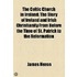 The Celtic Church In Ireland; The Story Of Ireland And Irish Christianity From Before The Time Of St. Patrick To The Reformation