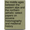 The Middle Ages Between the Eastern Alps and the Northern Adriatic: Select Papers on Slovene Historiography and Medieval History door Peter Stih