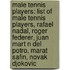 Male Tennis Players: List Of Male Tennis Players, Rafael Nadal, Roger Federer, Juan Mart N Del Potro, Marat Safin, Novak Djokovic