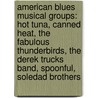 American Blues Musical Groups: Hot Tuna, Canned Heat, The Fabulous Thunderbirds, The Derek Trucks Band, Spoonful, Soledad Brothers by Books Llc
