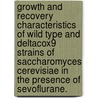 Growth And Recovery Characteristics Of Wild Type And Deltacox9 Strains Of Saccharomyces Cerevisiae In The Presence Of Sevoflurane. by Christopher M. Black