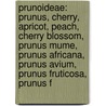 Prunoideae: Prunus, Cherry, Apricot, Peach, Cherry Blossom, Prunus Mume, Prunus Africana, Prunus Avium, Prunus Fruticosa, Prunus F door Source Wikipedia