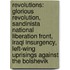 Revolutions: Glorious Revolution, Sandinista National Liberation Front, Iraqi Insurgency, Left-Wing Uprisings Against The Bolshevik