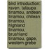 Bird Introduction: Raven, Tataupa Tinamou, Andean Tinamou, Chilean Tinamou, Highland Tinamou, Brushland Tinamou, Gape, Western Grebe