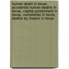 Human Death In Texas: Accidental Human Deaths In Texas, Capital Punishment In Texas, Cemeteries In Texas, Deaths By Firearm In Texas door Books Llc