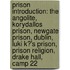Prison Introduction: The Angolite, Korydallos Prison, Newgate Prison, Dublin, Luki K?'s Prison, Prison Religion, Drake Hall, Camp 22