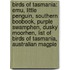 Birds Of Tasmania: Emu, Little Penguin, Southern Boobook, Purple Swamphen, Dusky Moorhen, List Of Birds Of Tasmania, Australian Magpie