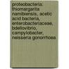 Proteobacteria: Thiomargarita Namibiensis, Acetic Acid Bacteria, Enterobacteriaceae, Bdellovibrio, Campylobacter, Neisseria Gonorrhoea door Source Wikipedia