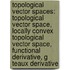 Topological Vector Spaces: Topological Vector Space, Locally Convex Topological Vector Space, Functional Derivative, G Teaux Derivative