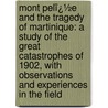 Mont Pelï¿½E and the Tragedy of Martinique: a Study of the Great Catastrophes of 1902, with Observations and Experiences in the Field door Angelo Heilprin