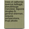 Trees Of California: Quercus Kelloggii, Pseudotsuga Menziesii, Bigcone Douglas-Fir, General Sherman, Sequoia Sempervirens, Thuja Plicata by Books Llc