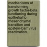 Mechanisms Of Transforming Growth Factor-Beta Functioning During Epithelial To Mesenchymal Transition And Epstein-Barr Virus Reactivation. door Shreyasi Das