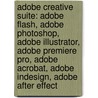 Adobe Creative Suite: Adobe Flash, Adobe Photoshop, Adobe Illustrator, Adobe Premiere Pro, Adobe Acrobat, Adobe Indesign, Adobe After Effect by Source Wikipedia