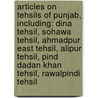 Articles On Tehsils Of Punjab, Including: Dina Tehsil, Sohawa Tehsil, Ahmadpur East Tehsil, Alipur Tehsil, Pind Dadan Khan Tehsil, Rawalpindi Tehsil door Hephaestus Books