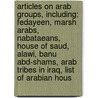 Articles On Arab Groups, Including: Fedayeen, Marsh Arabs, Nabataeans, House Of Saud, Alawi, Banu Abd-Shams, Arab Tribes In Iraq, List Of Arabian Hous door Hephaestus Books