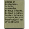 Articles On Bumblebees, Including: Bumblebee, Bombus Terrestris, Bombus Ternarius, Bombus Fraternus, Psithyrus, Bombus Melanopygus, List Of World Bumb by Hephaestus Books