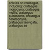 Articles On Crataegus, Including: Crataegus Monogyna, Crataegus Mollis, Crataegus Pubescens, Crataegus Heterophylla, Crataegus Laevigata, Crataegus Ae door Hephaestus Books