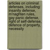 Articles On Criminal Defenses, Including: Insanity Defense, M'Naghten Rules, Gay Panic Defense, Right Of Self-Defense, Defence Of Property, Necessity door Hephaestus Books