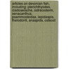 Articles On Devonian Fish, Including: Pterichthyodes, Cladoselache, Ostracoderm, Xenacanthus, Psammosteidae, Lepidaspis, Thelodonti, Anaspida, Osteost door Hephaestus Books