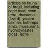 Articles On Fauna Of Brazil, Including: Cane Toad, Neon Tetra, Dracaena (Lizard), Yacare Caiman, Bothrops Atrox, Mussurana, Hydrodynastes Gigas, Lache by Hephaestus Books