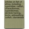 Articles On Fish Of Africa, Including: Cyprinidae, Catfish, Characiformes, Cypriniformes, Denticle Herring, Bichir, Airbreathing Catfish, Claroteidae door Hephaestus Books