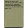 Articles On Fish Of Asia, Including: Cyprinidae, Catfish, Cypriniformes, Mahseer, Cobitidae, Hillstream Loach, Barracuda, Mastacembelidae, Grass Carp door Hephaestus Books