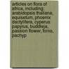 Articles On Flora Of Africa, Including: Arabidopsis Thaliana, Equisetum, Phoenix Dactylifera, Cyperus Papyrus, Buddleja, Passion Flower, Fonio, Pachyp door Hephaestus Books