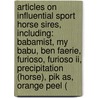 Articles On Influential Sport Horse Sires, Including: Babamist, My Babu, Ben Faerie, Furioso, Furioso Ii, Precipitation (horse), Pik As, Orange Peel ( door Hephaestus Books