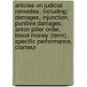 Articles On Judicial Remedies, Including: Damages, Injunction, Punitive Damages, Anton Piller Order, Blood Money (Term), Specific Performance, Clameur door Hephaestus Books