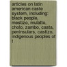 Articles On Latin American Caste System, Including: Black People, Mestizo, Mulatto, Cholo, Zambo, Casta, Peninsulars, Castizo, Indigenous Peoples Of T door Hephaestus Books