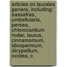 Articles On Laurales Genera, Including: Sassafras, Umbellularia, Persea, Chlorocardium Rodiei, Laurus, Cinnamomum, Idiospermum, Dicypellium, Ocotea, C door Hephaestus Books