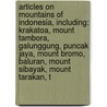 Articles On Mountains Of Indonesia, Including: Krakatoa, Mount Tambora, Galunggung, Puncak Jaya, Mount Bromo, Baluran, Mount Sibayak, Mount Tarakan, T door Hephaestus Books