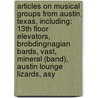 Articles On Musical Groups From Austin, Texas, Including: 13Th Floor Elevators, Brobdingnagian Bards, Vast, Mineral (Band), Austin Lounge Lizards, Asy by Hephaestus Books