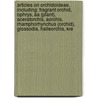 Articles On Orchidoideae, Including: Fragrant Orchid, Ophrys, Aa (Plant), Aceratorchis, Aorchis, Rhamphorhynchus (Orchid), Glossodia, Halleorchis, Kre by Hephaestus Books