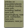 Articles On Populated Places In Sullivan County, New York, Including: Bethel, New York, Bloomingburg, New York, Cochecton, New York, Delaware, New Yor door Hephaestus Books