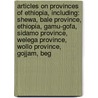 Articles On Provinces Of Ethiopia, Including: Shewa, Bale Province, Ethiopia, Gamu-Gofa, Sidamo Province, Welega Province, Wollo Province, Gojjam, Beg door Hephaestus Books