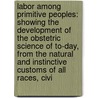 Labor Among Primitive Peoples: Showing the Development of the Obstetric Science of To-Day, from the Natural and Instinctive Customs of All Races, Civi by George Julius Engelmann