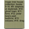 Magic Tree House Collection: Books 9-16: #9: Dolphins At Daybreak; #10: Ghost Town; #11: Lions; #12: Polar Bears Past Bedtime; #13: Volcano; #14: Drag door Mary Pope Osborne