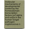 Molecular Mechanisms Of Developmental Control By The Homeodomain Transcription Factors Sxi1Alpha And Sxi2A In The Human Fungal Pathogen Cryptococcus N door Brynne Christine Stanton