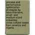 Process And Performance Optimization Strategies By Labor-Intensive, Small- And Medium-Sized Industries: Cross-Cultural Cases From America And Nigeria.