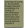 Evenings at Home, Or, the Juvenile Budget Opened; Consisting of a Variety of Miscellaneous Pieces for the Instruction and Amusement of Young Persons Volume 4 door John Aikin