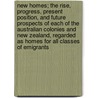 New Homes; The Rise, Progress, Present Position, and Future Prospects of Each of the Australian Colonies and New Zealand, Regarded as Homes for All Classes of Emigrants door Thomas Henry Braim